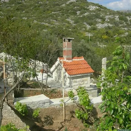 Barada *