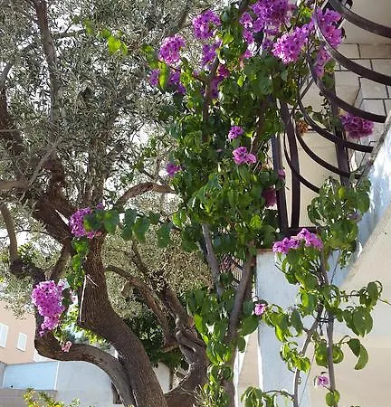 Barada Apartmán *