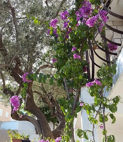 Barada Apartman *